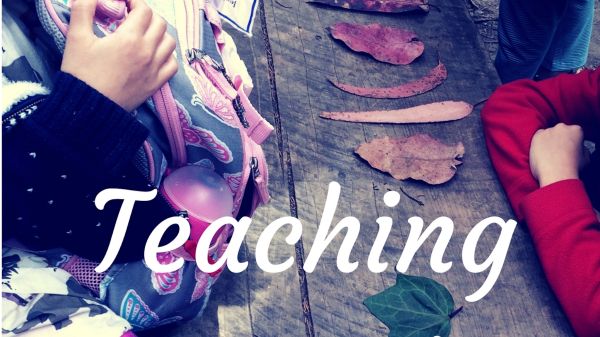 Teaching Outside