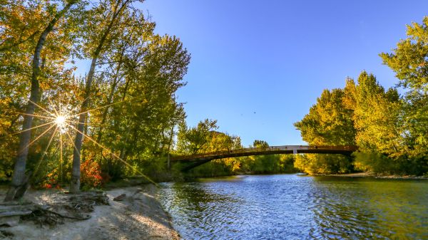 Foot bridge over river