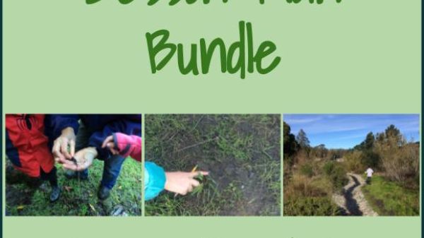 Forest school lesson plan bundle Forest school lesson plan bundle