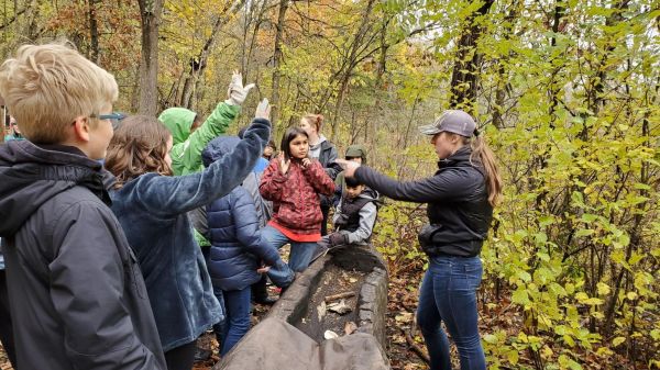 Eagle Bluff Fellow in Action A group of children stand to the left of an adult pointing at a child raising their hand; between them is a log and behind them is a leafy forest