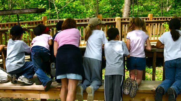 Kids watching nature.