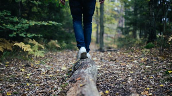 Person walking on a log in a forested area