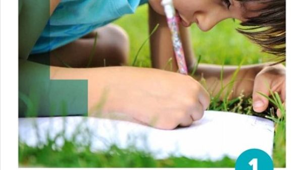 K-12 EE Guidelines