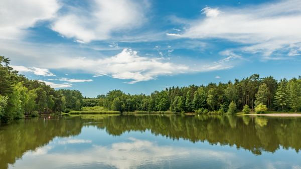 Green forest and blue sky reflecting in water of pond