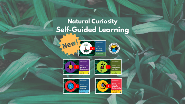 Natural Curiosity's Self-Guided Learning Series Infographic with green leaves as the background. In the foreground there are 5 thumbnails for each learning module video. The Rainy River District School Board logo is present. The text reads "Natural Curiosity's Self-Guided Learning Series New!"