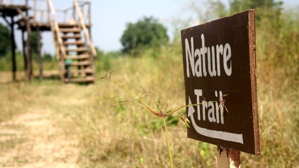 "Nature trail" wooden sign near a dry, grassy area