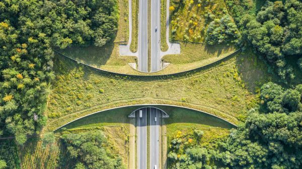 Aerial view of a wildlife bridge