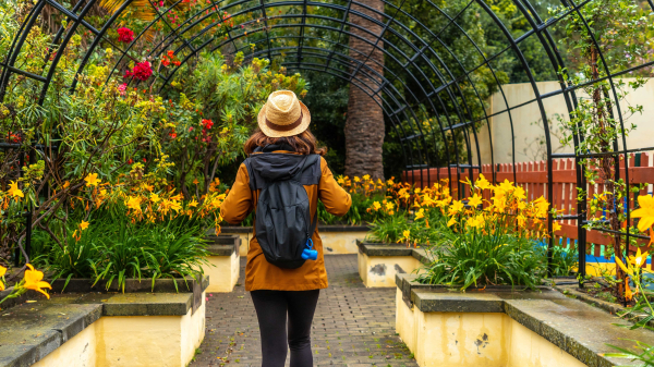 Person walks through a botanical garden