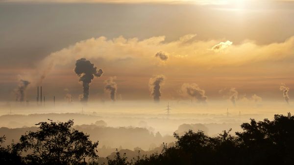Black silhouette of trees against a cloudy factory background with steam coming from the distant facilities