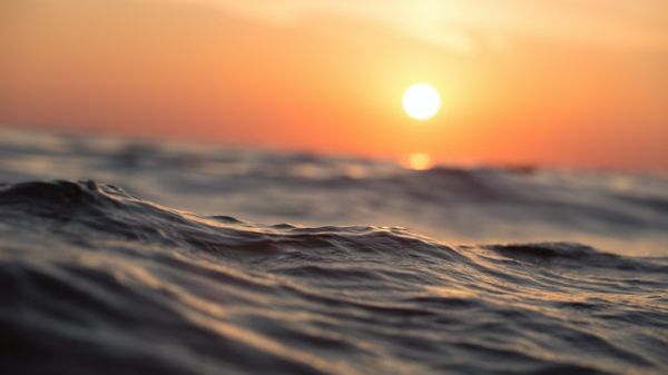 Close up photo of an ocean wave during Golden Hour