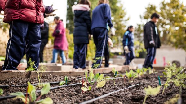 School children walk by a garden plot.