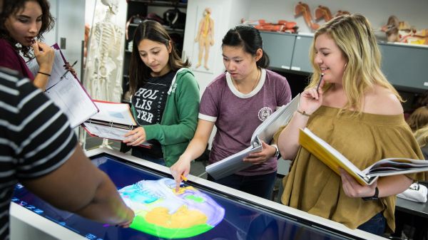 Four young women with open textbooks, point at a display screen