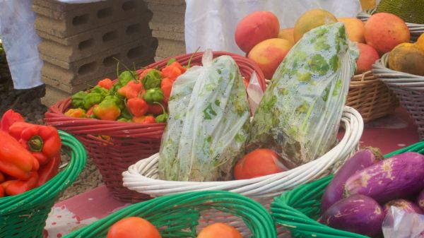 fresh produce in bowls