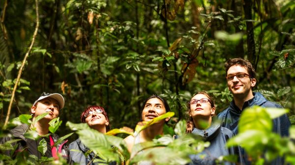 group of students in forest