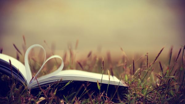 Open book laying in a field. Book laying in a field open to a pair of pages folded into the shape of a heart.