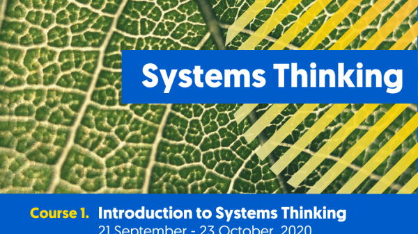 Systems Thinking Courses