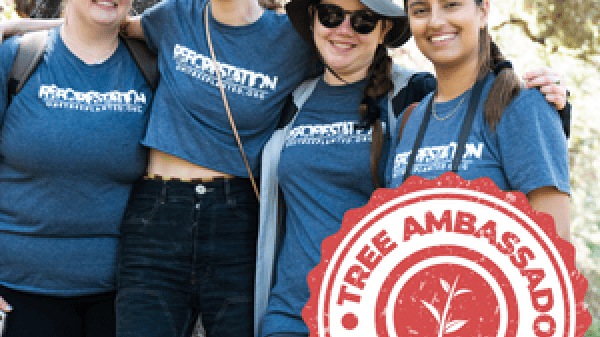 Tree Ambassadors Tree Ambassadors