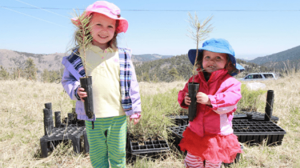 One Tree Planted