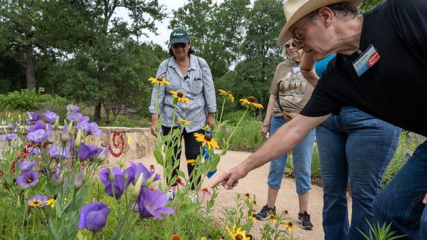 Volunteers looking at a flower patch