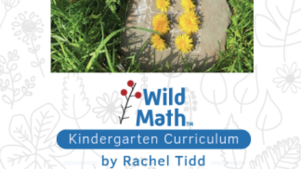 Cover art for Wild Match text