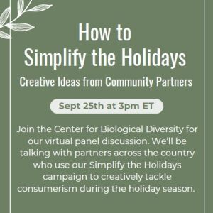 Green flyer with white text describing the upcoming "How to Simplify the Holidays" webinar on September 25