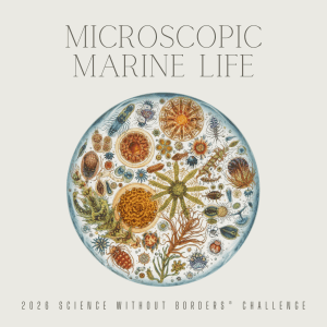 Colorful illustration of microscopic marine life, featuring various tiny ocean organisms such as phytoplankton, zooplankton, and bacteria, depicted in vibrant hues and intricate patterns, emphasizing their importance in marine ecosystems.