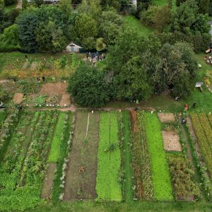 drone picture of a Global Field, field with many plots