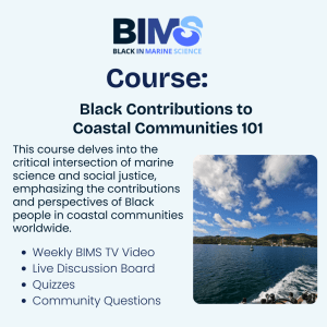 Light blue banner with the BIMS logo, text reads "Course: Black Contributions to Coastal Communities 101, This course delves into the critical intersection of marine science and social justice, emphasizing the contributions and perspectives of Black people in coastal communities worldwide. Weekly BIMS TV Video. Live Discussion Board. Quizzes. Community Questions"; to the right of this is a picture of the ocean with coast behind it on a slightly cloudy day