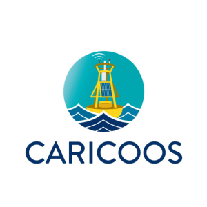 Logo of a yellow solar-powered buoy on some waves with text that reads "CARICOOS"