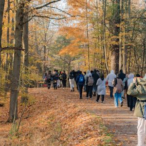 muslim students walking in nature between trees as part of the Greening our Communities Toolkit