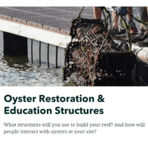 Image of oyster cage coming out of the water from a curricular resource; text reads "Oyster Restoration & Education Structures, What structures will you use to build your reef? And how will people interact with oysters at your site?"