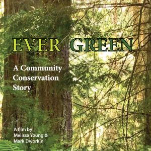 Ever Green