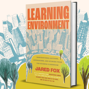 Learning Environment the book displayed