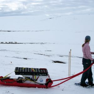 Transporting research equipment across the Arctic tundra