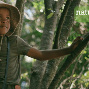 young black girl in tree