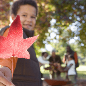 A smiling child holds a red leaf on a fall day in the park