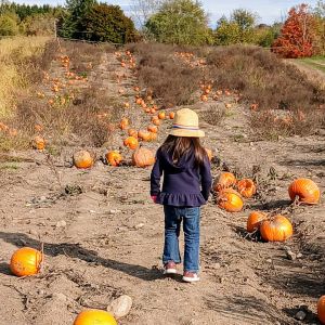 A child stands facing out toward farmland with pumpkins scattered around