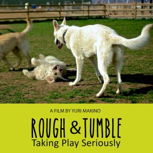 Rough and Tumble: Taking Play Seriously