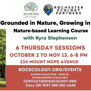 RootED: Grounded in Nature, Growing in Knowledge 