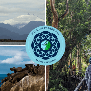 a collage of three images, one with a mountainscape, one of a group of sealions on a rock, and one of people walking through a temperate rainforest