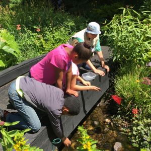 Students at Powellswood Garden Collecting Macros