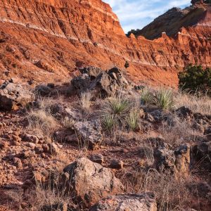 Red canyon on a rocky desert