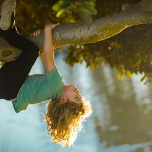 Young boy playing and climbing a tree and hanging upside down