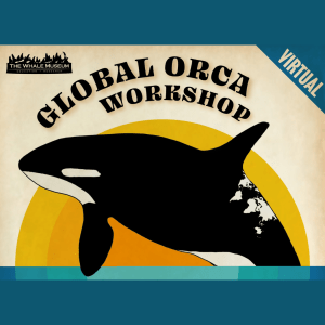 Graphical depiction of an orca with a white world map pattern on their back jumping out of a blue line; text reads "The Whale Museum, Global Orca Workshop, Virtual"