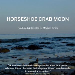 Film cover portraying a beach at dusk with a full moon overhead and the film title with text that reads, "Horseshoe Crab Moon. Produced and Directed by Mitchell Smith"