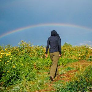 A person walks through a garden with a rainbow in the distance