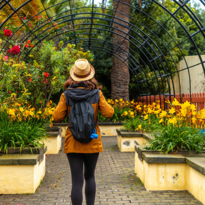Person walks through a botanical garden