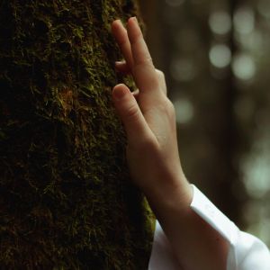 A close-up of a hand touching the bark of a tree, a blurry forest in the background