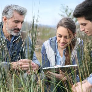 teacher with high school students looking at laptop in field