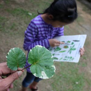 Young student looking at book with hand holding leaf